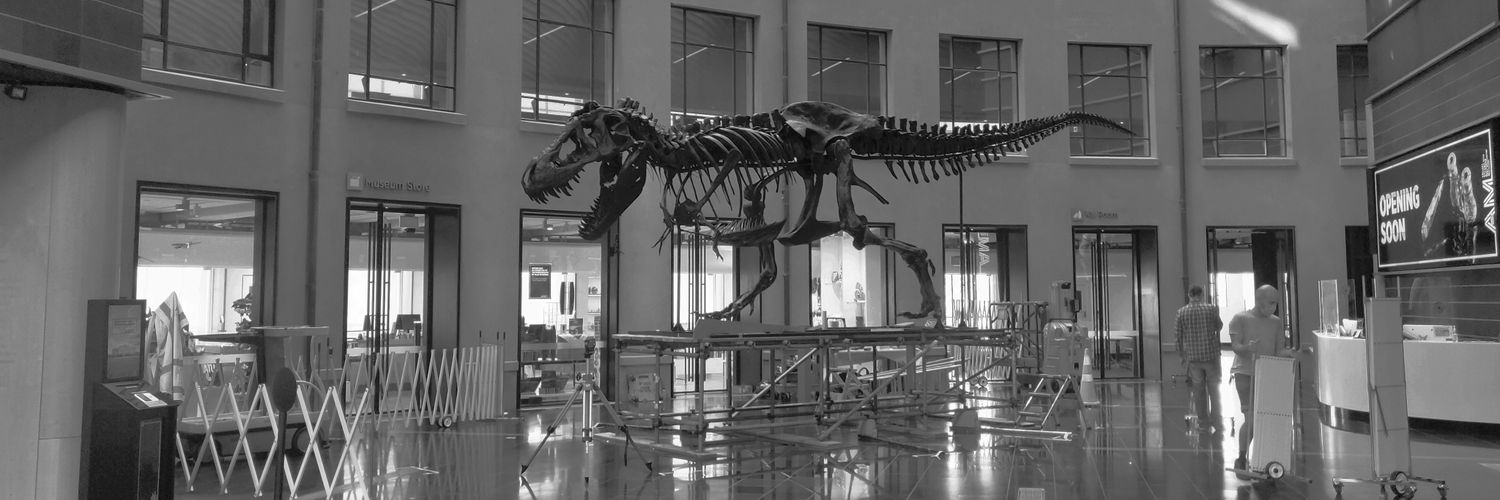 nzfossils's profile banner image