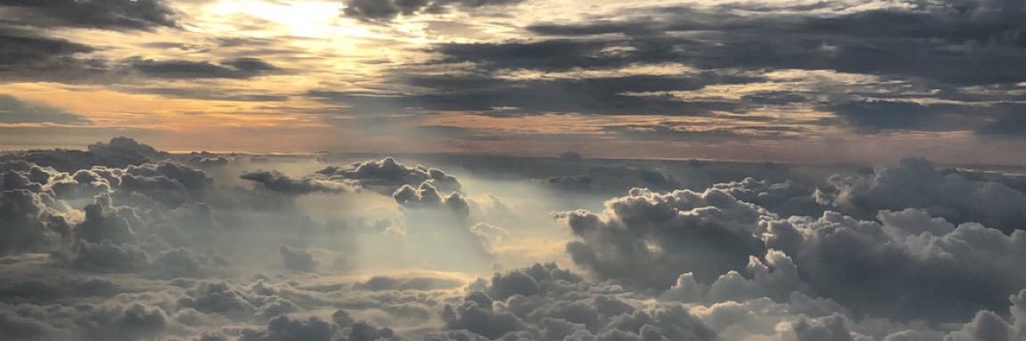 tyannni's profile banner image