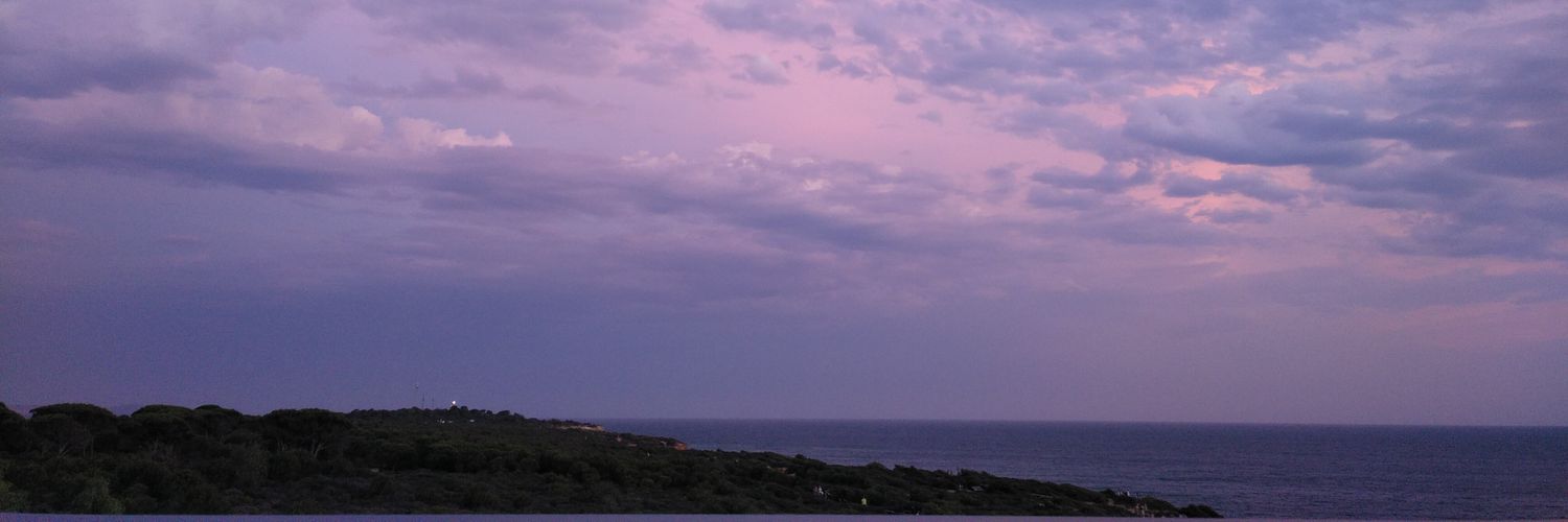 Rocío banner