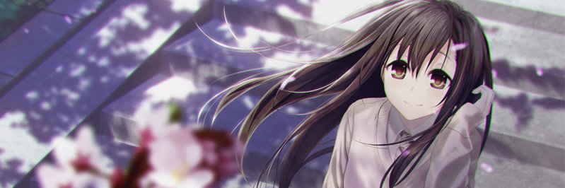 zesikawa's profile banner image