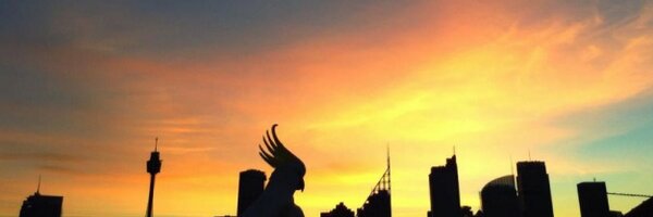 Wingtags Profile Banner