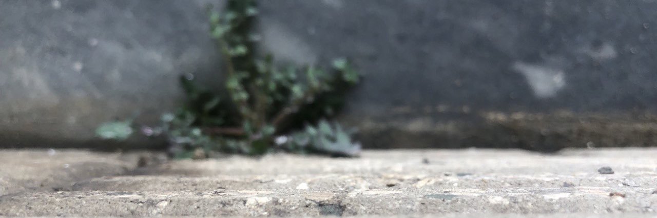 عابر's banner