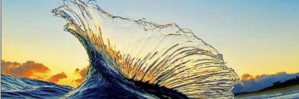 bemyvineyard Profile Banner