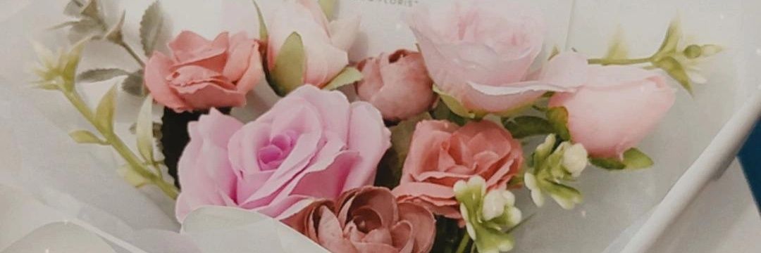niahhpsr's profile banner image