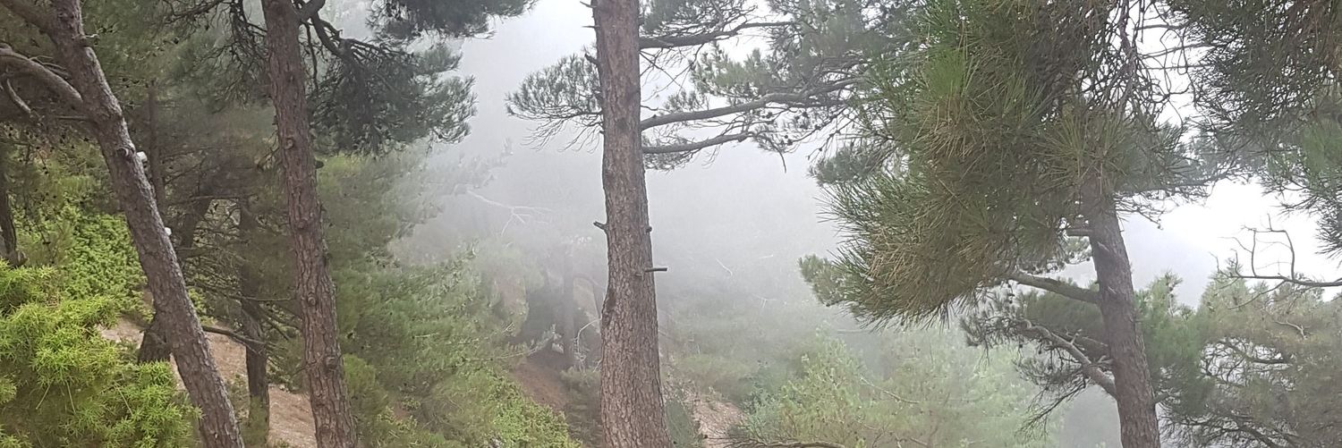 cantHandleMB's profile banner image