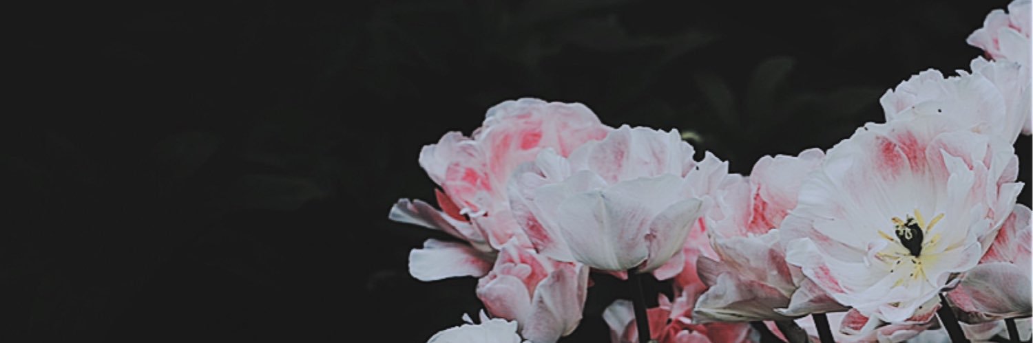 teru_uvsn's profile banner image