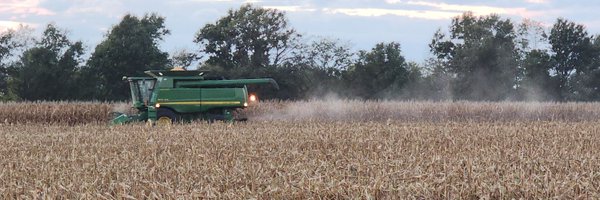 BrianWillott Profile Banner