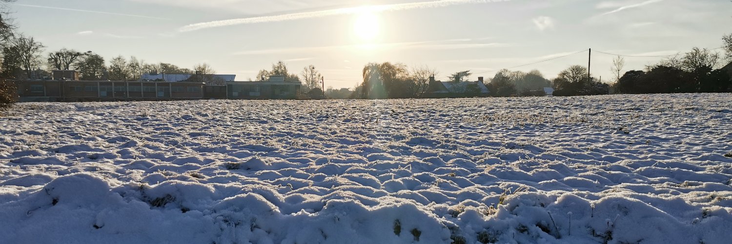 Vic Flores 🦊 banner