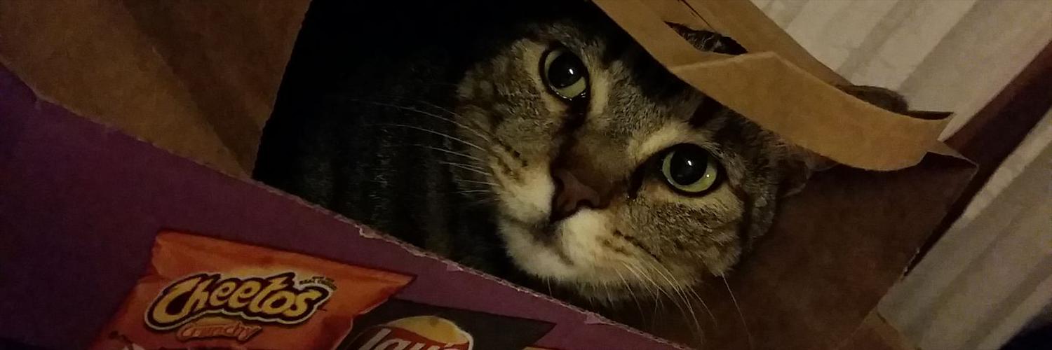 HillTroyNick's profile banner image