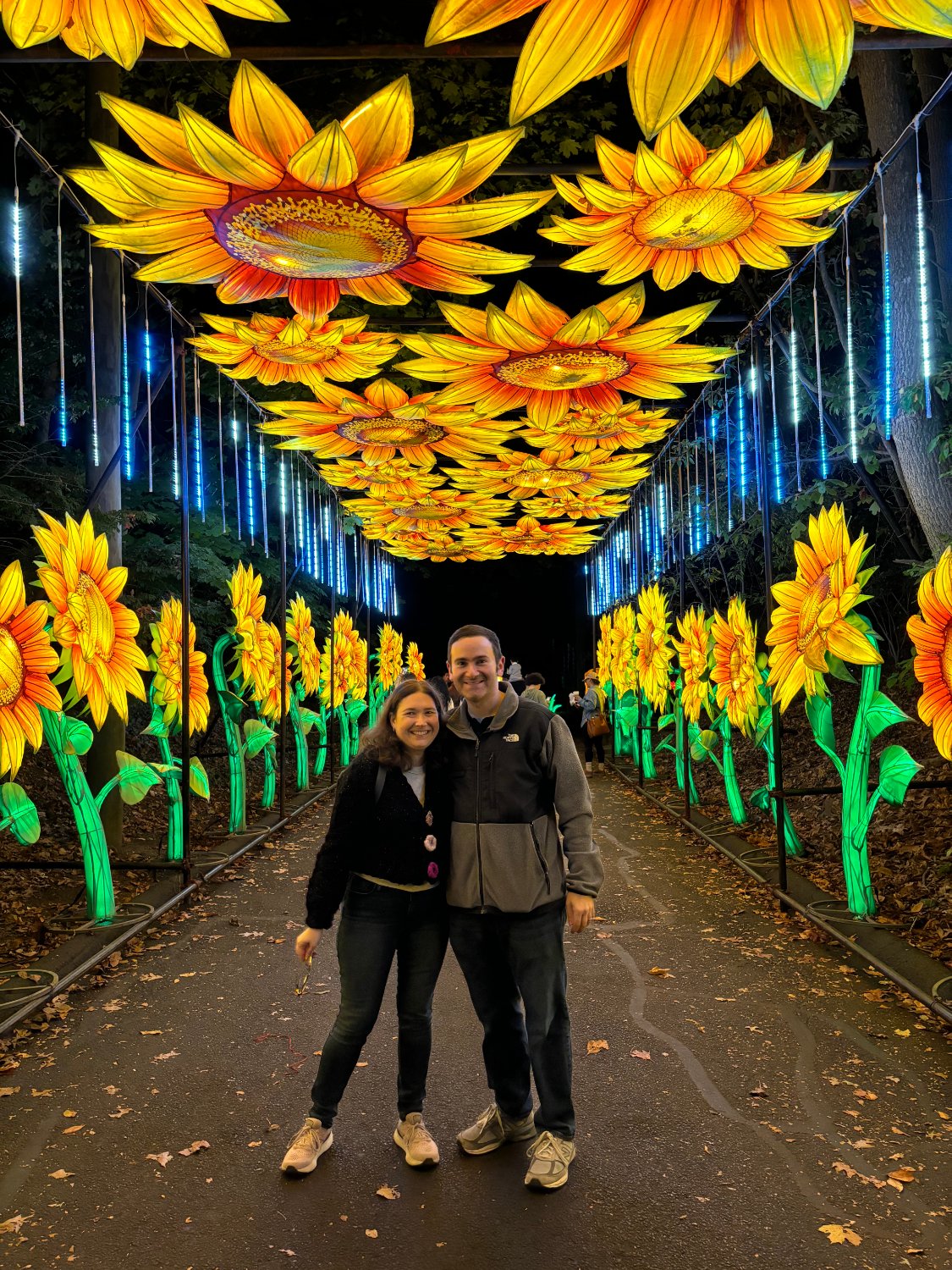 Michael Newman 🔺 banner