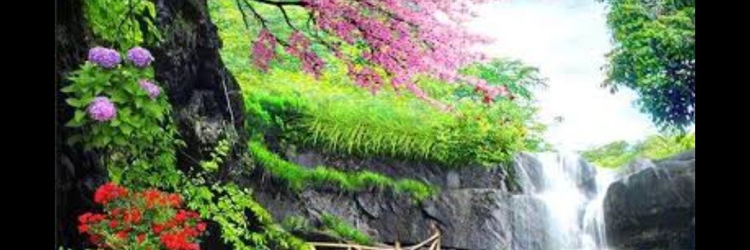 cankaya_yonca's profile banner image