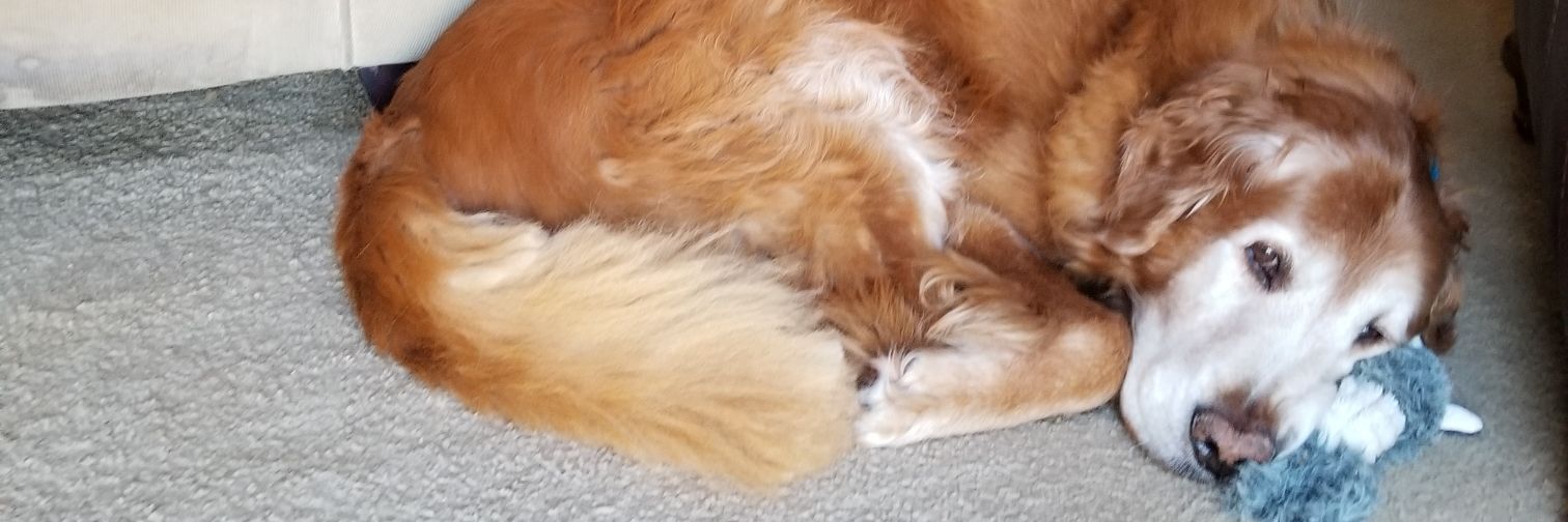 bigmarylou's profile banner image
