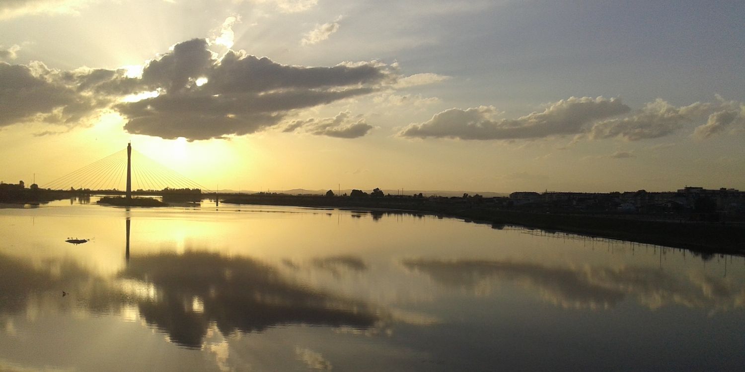 nuriafeijoo's profile banner image