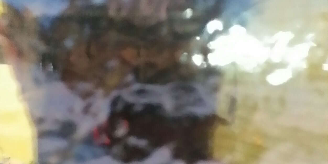 BlindxPanda's profile banner image