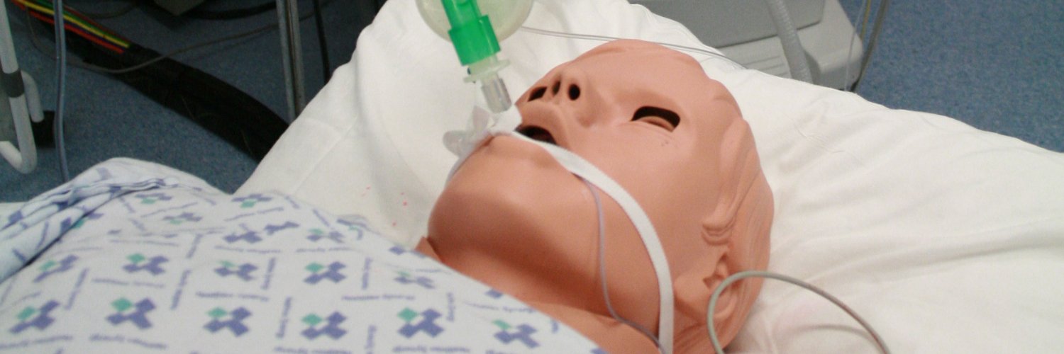 Trent Simulation banner