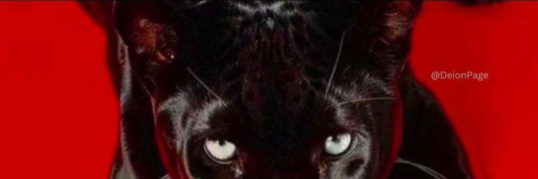 OMG_DanceFreak's profile banner image
