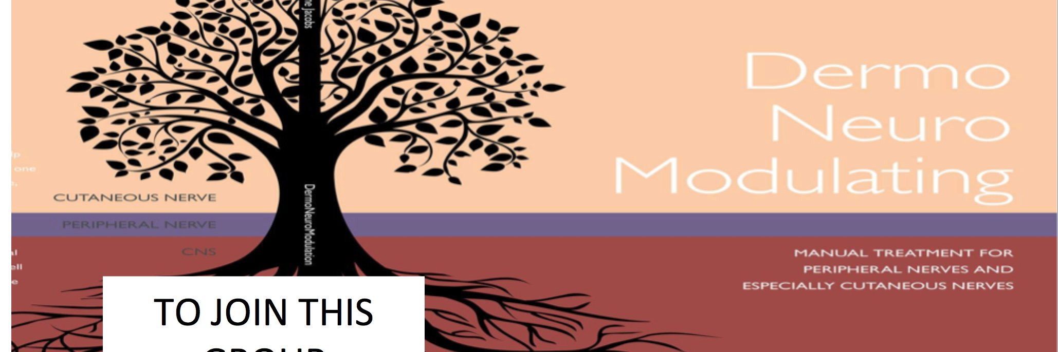dfjpt's profile banner image