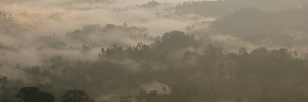 tomfayle Profile Banner