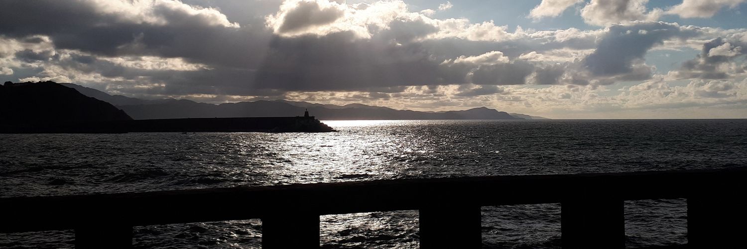 Xavier Roig Zabaleta banner