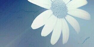 hamss21's profile banner image