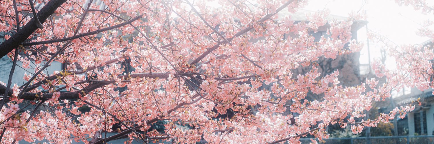 fuyuuma69's profile banner image