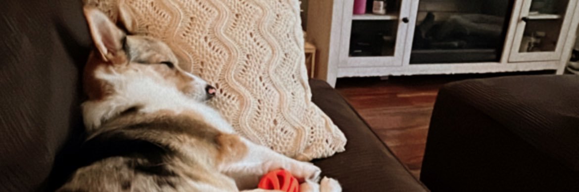 KrystalMrozik's profile banner image