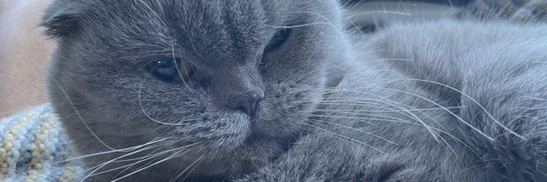 BubbleMooncat Profile Banner