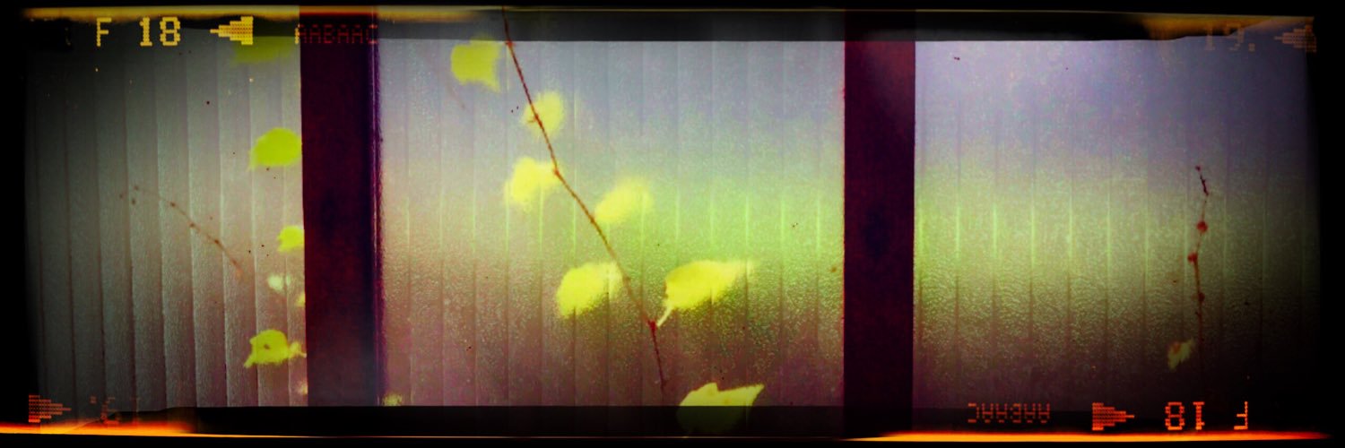 ebraf426's profile banner image