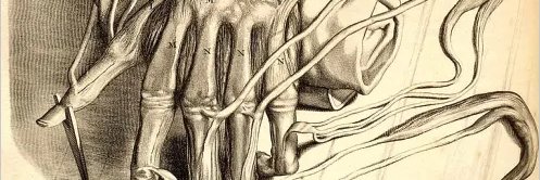 GalanAlfonso's profile banner image