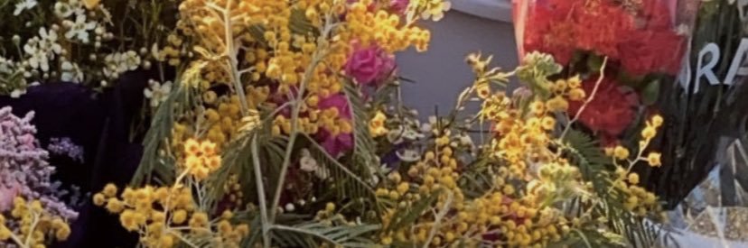 greyarranz's profile banner image