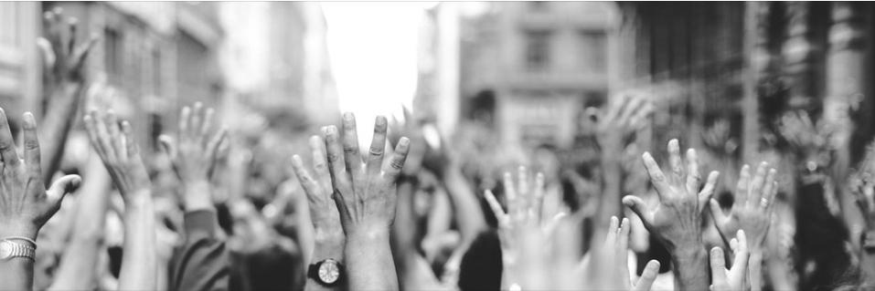 Michelle de Vries banner