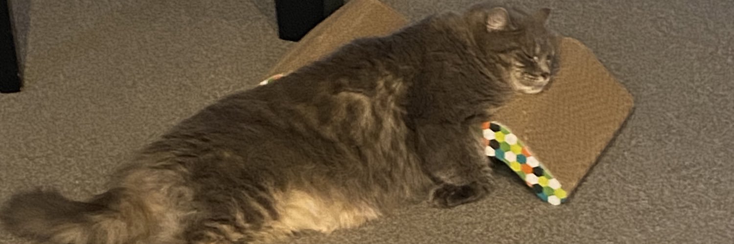 dmodoughnut's profile banner image