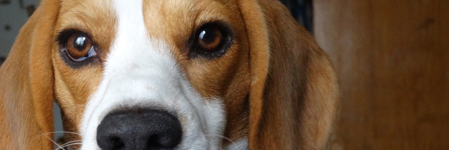 ccggnn's profile banner image