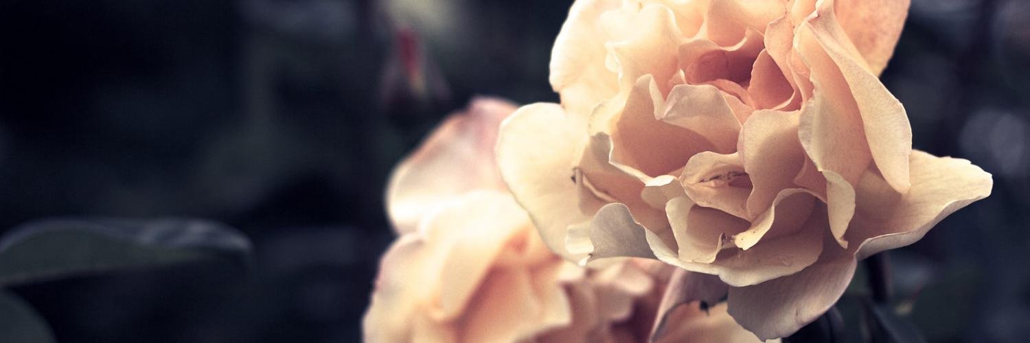 SilMoreno91's profile banner image
