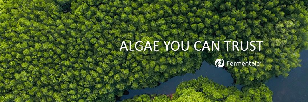 Fermentalg banner