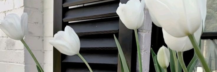 cxiezu's profile banner image