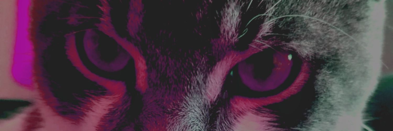 lapaof_'s profile banner image
