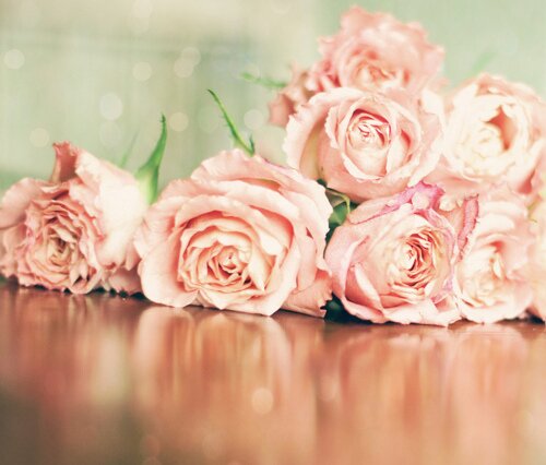 shellapascanita's profile banner image