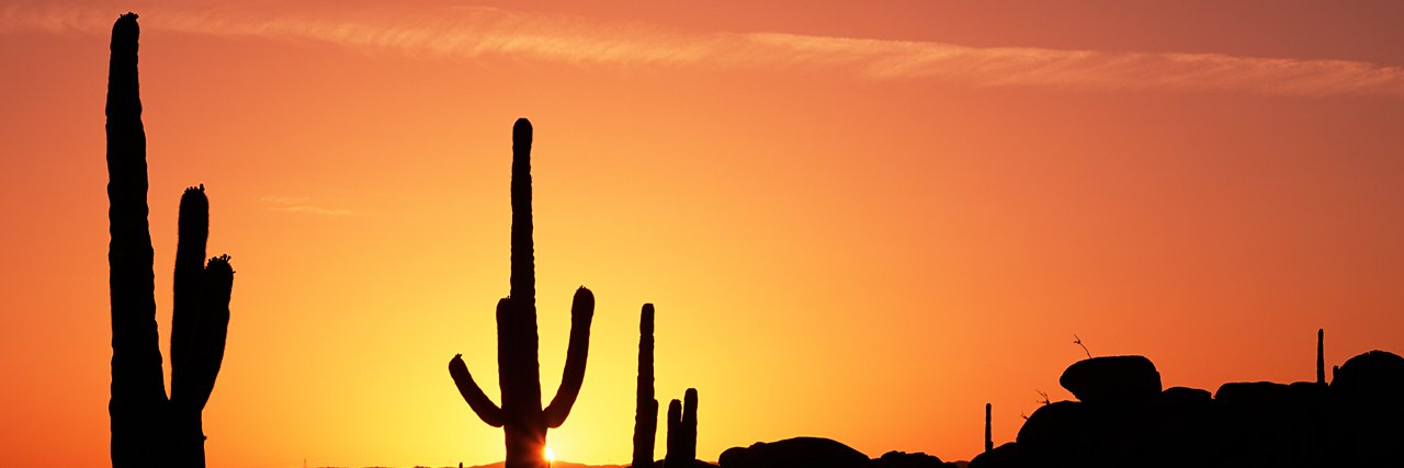 ML04876621's profile banner image