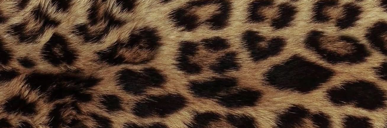 𝖆𝖗𝖙𝖊𝖒𝖎𝖘 banner