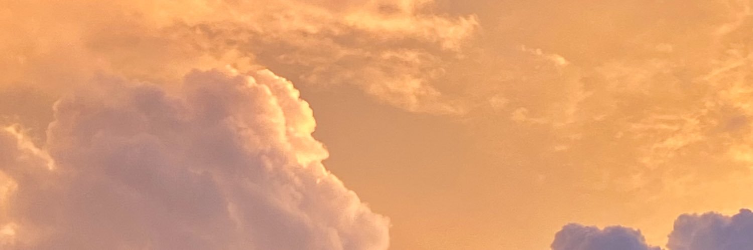 zliamohdisa's profile banner image