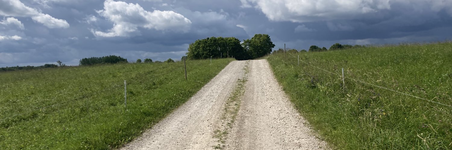 𝘛𝘦𝘦𝘮𝘶 𝘓𝘢𝘶𝘯𝘪𝘰 banner