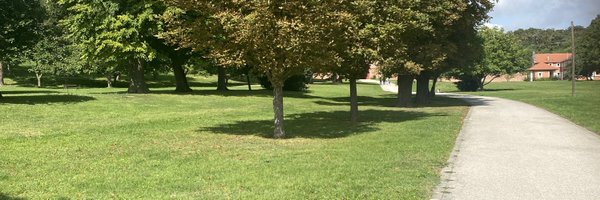 dragon_R11 Profile Banner