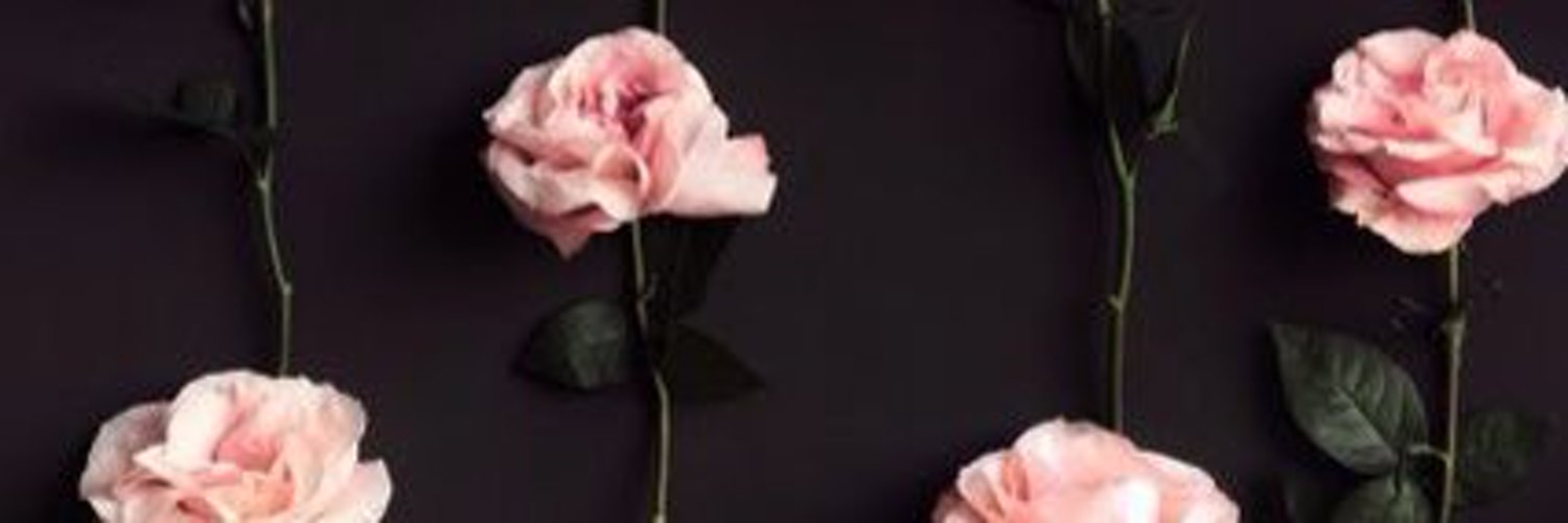 manarie824's profile banner image
