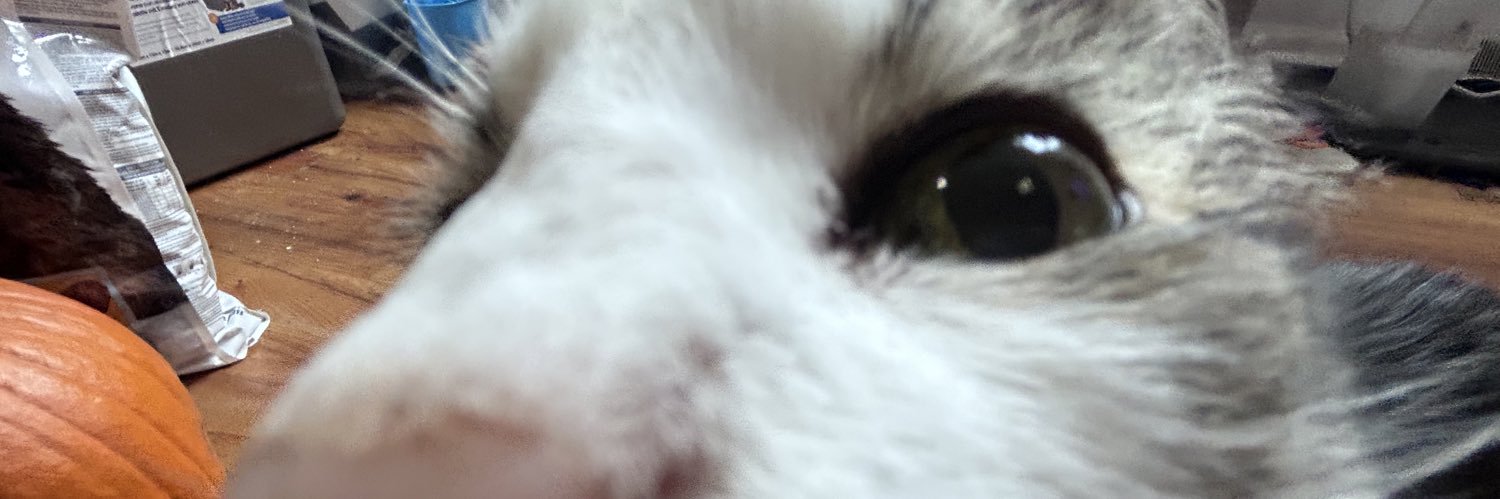 actuallysnamber's profile banner image