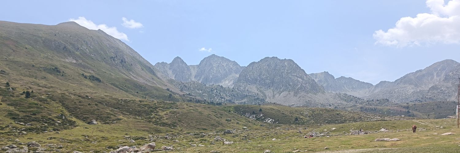 jolou 🌹🎶 banner