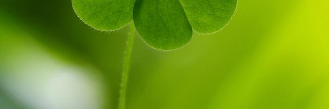 AGRI NEWS EU's banner
