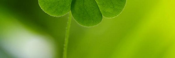 amcgmobile Profile Banner