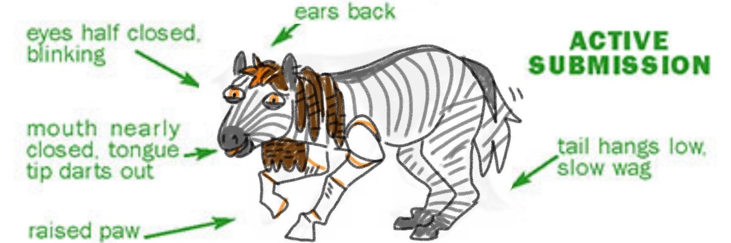 Industry Standard Test Zebra banner