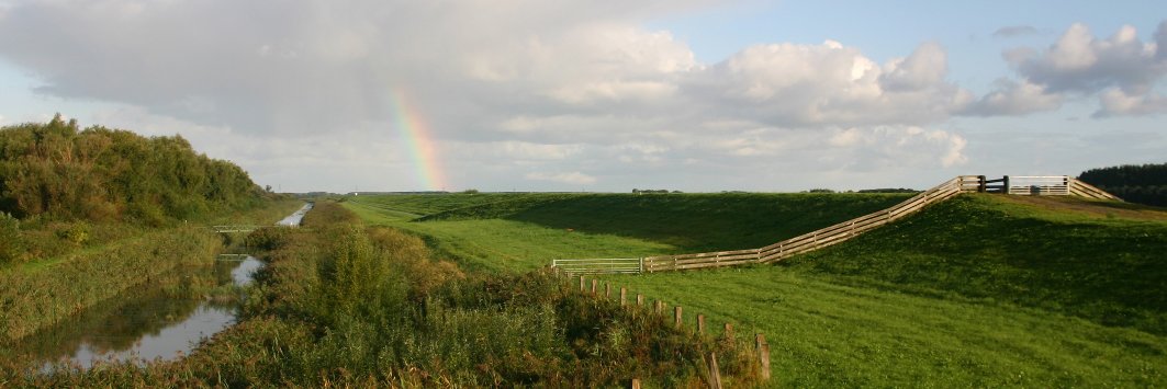 Lida Schelwald banner